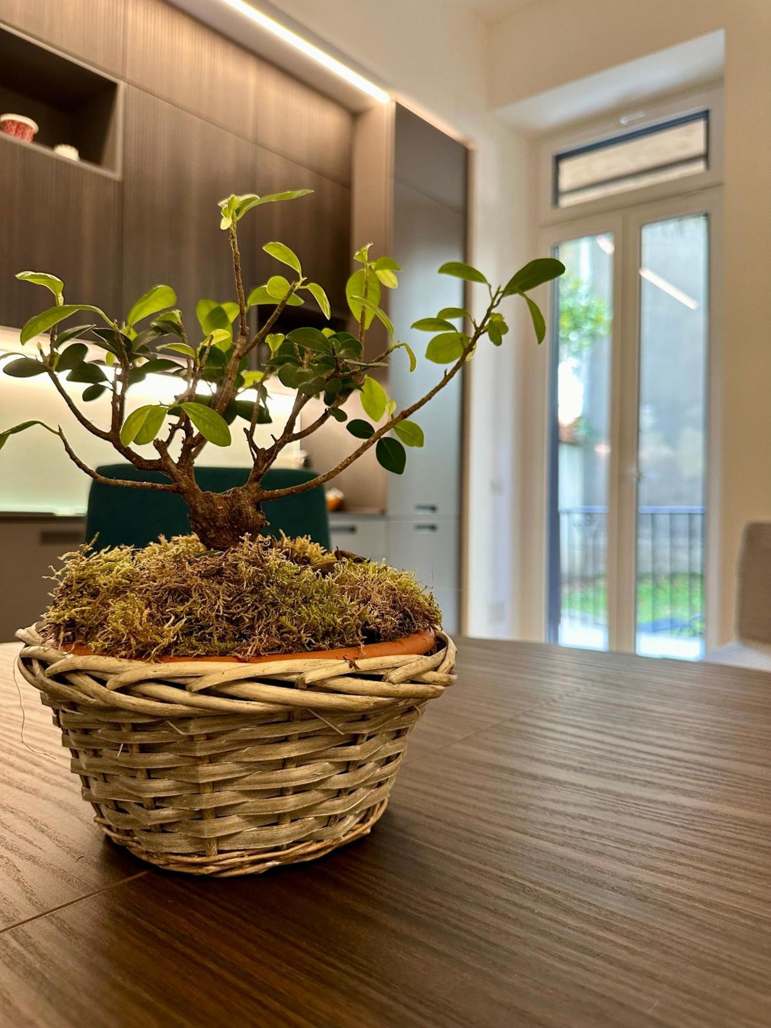 מילאנו Lr Deluxe Apartments - Porta Venezia - Bilocale Con Giardino Privato מראה חיצוני תמונה
